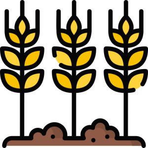 Agricultura